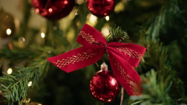 Red Bow Decorate Christmas Tree — Stock Video