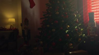 Güneş ışınlarıyla aydınlatılan Noel ağacı.