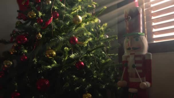 Χριστουγεννιάτικο Δέντρο Χτυπημένο Από Την Πρώτη Ακτίνα Του Πρωινού Ήλιου — Αρχείο Βίντεο