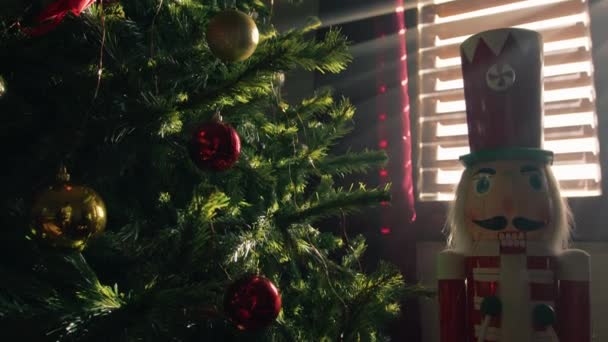 Noel Ağacının Yanında Fındıkkırana Karşı — Stok video