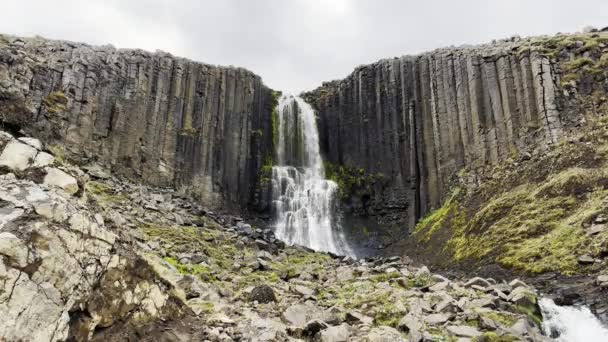 Величественный Водопад Падающий Базальтовой Скалы Исландии — стоковое видео