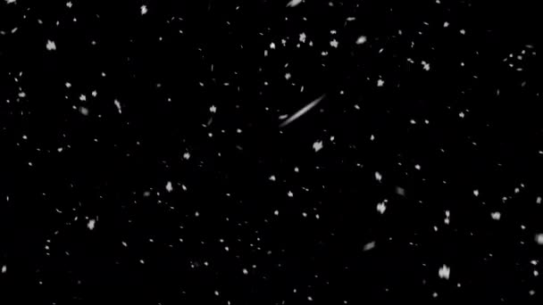Снег Падает Черном Фоне — стоковое видео