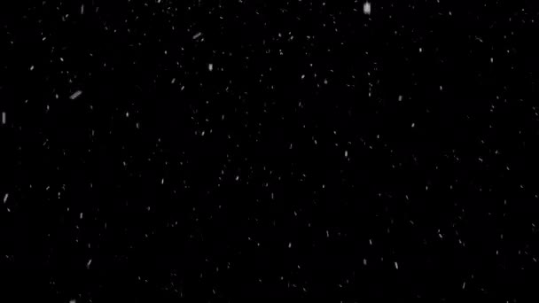 Neve Che Cade Sfondo Nero — Video Stock