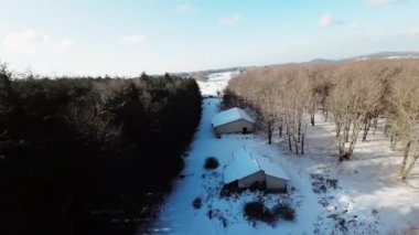 Kış mevsiminde dağ ormanlarında kar yağar.