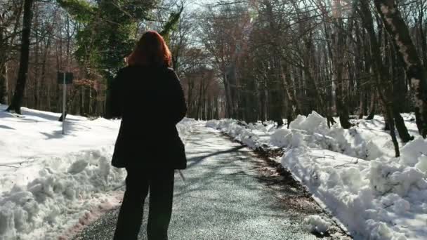 Kobieta Spacerująca Ulicy Śnieżnego Lasu Poranku — Wideo stockowe