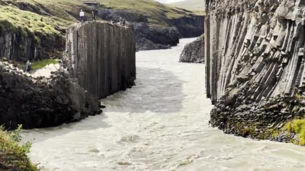 Ποταμός Που Ρέει Στη Μέση Ενός Βασαλτικού Φαραγγιού Στην Ισλανδία — Αρχείο Βίντεο
