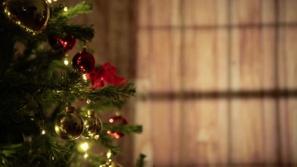 Les Gens Qui Font Décoration Noël Dans Maison — Video