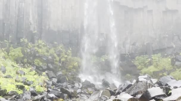 Buitenste Hoge Waterval Crashen Basalt Rotsen Muskus — Stockvideo