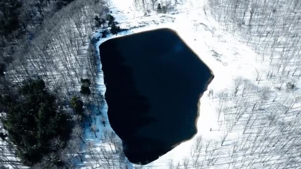 Lumi Vuoristometsän Antenni Näkymä Talvikaudella — kuvapankkivideo