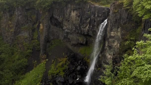 崖から落ちるアイスランドの滝の高層ビュー — ストック動画