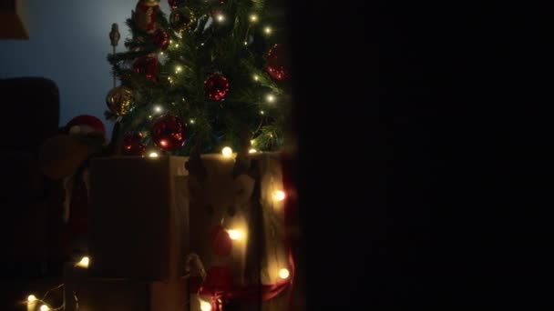 圣诞老人的手在树下留下礼物 — 图库视频影像