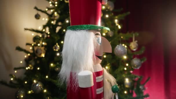 ナッツクラッカーの目にクリスマスの魔法 — ストック動画