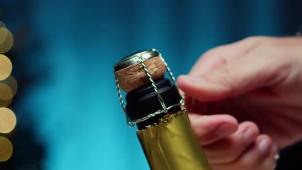 Celebrando Año Nuevo Con Botella Vino Espumoso — Vídeos de Stock