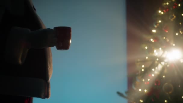 Санта Клаус Насолоджується Чашкою Гарячого Чаю Під Деревом — стокове відео