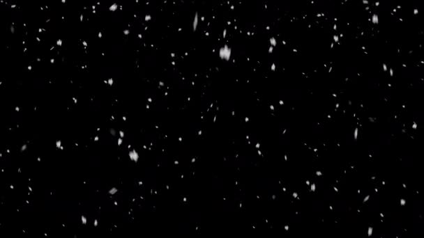 Sníh Padá Černé Pozadí — Stock video