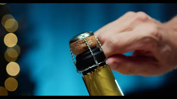 Celebrating new year with sparkling wine bottle .