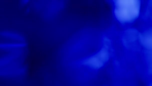 clignotant réel lumière fuites transition sur fond noir