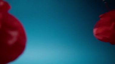 Çin yeni yıl fener süslemeleri.