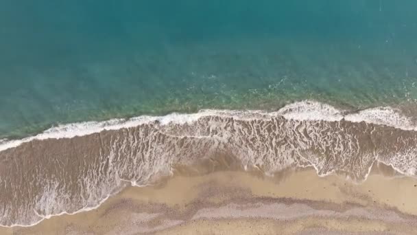 Costa Tropical Playa Ondeando Océano — Vídeos de Stock