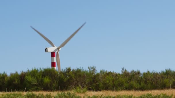 Rüzgâr Türbinleriyle Çevrenin Tahrip Olması — Stok video