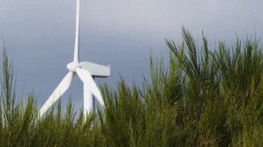 Yenilenebilir enerji formlarını artırmak için rüzgar türbinleri kullanılıyor