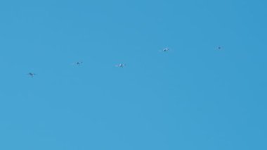 İtalya 'da Üç Renkli Oklar Akrobatik Gösterisi.