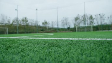 Futbol topu çayırda salya akıtıyor..