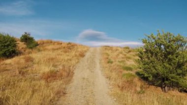 Kırsalda Kırmızı Elbiseyle Dans Eden Genç Kadınlar.