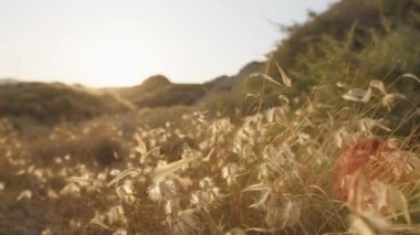 Kırsalda Kırmızı Elbiseyle Dans Eden Genç Kadınlar.