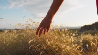 Kırsalda Kırmızı Elbiseyle Dans Eden Genç Kadınlar.