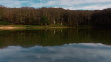 Sonbahar mevsiminde Orman Ağaçları.