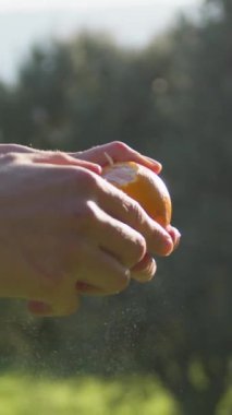 Kız kırsaldaki portakal meyvelerini soyuyor..