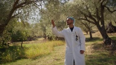 Uzman bir grup zeytin ağacına bakıyor. . 