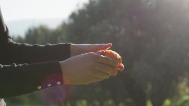Kız kırsaldaki portakal meyvelerini soyuyor..