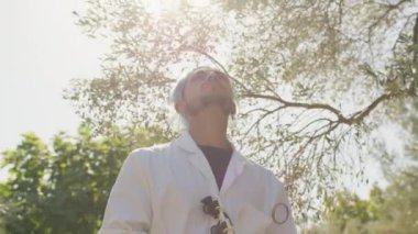 Uzman, kırsaldaki zeytin ağaçlarına bakıyor..