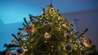 Aşağıdaki Odada Noel Ağacı Görüldü.