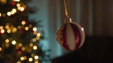 Noel 'in Silueti Odadaki Ağacın önünde.
