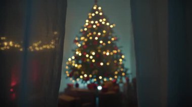 Bir evin perdesinin arkasından görülen Noel Ağacı.