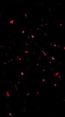 Sevgililer Günü siyah alfa arka planında kırmızı kalp.