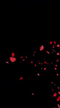 Sevgililer Günü siyah alfa arka planında kırmızı kalp konfetisi.