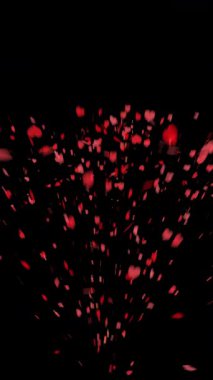 Sevgililer Günü siyah alfa arka planında kırmızı kalp konfetisi.