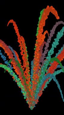 Holi Hint Festivali için Renkli Toz Patlaması.