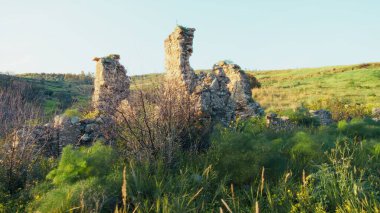 Bahar mevsimi için Doğa Arkaplan Çayırı.