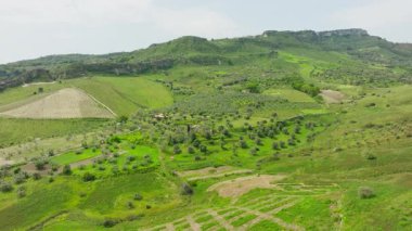 Calabria Pastoral Toprakları 'ndaki Güzel Yeşil Vadideki Ağaçlar Hava Manzarası.