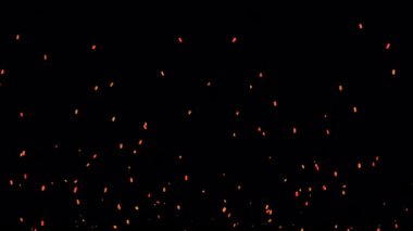 Şeffaf Alfa Arkaplanda Turuncu Ateş Külü Yükseliyor.