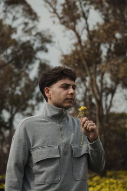 Yerden Sarı Çiçekleri Seçen ve Toplayan Adam . 