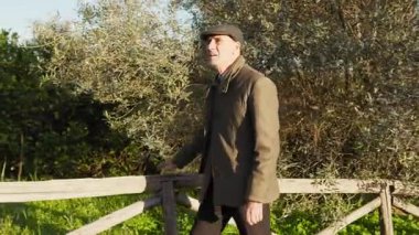 Kırsalda Yürüyen Adam Zeytin Ağaçlarının Altında.