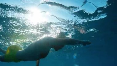 Profesyonel bir yüzücünün su altından serbest yüzme tekniği..