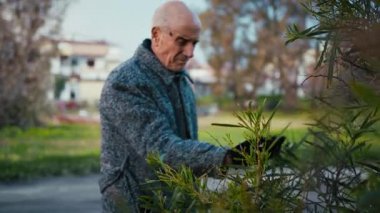 Adam Parktaki Bitkinin Yapraklarına Dokunup İnceledi.