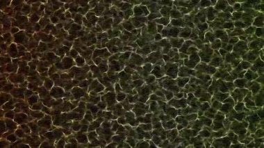 Soyut Dalgalar Taşıma Arkaplanı.